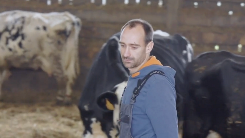 BABYBEL - BRANDCONTENT 2